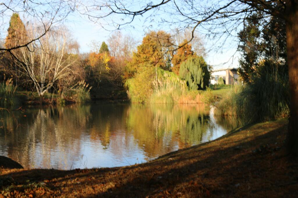 Copy of IMG_1981.JPG