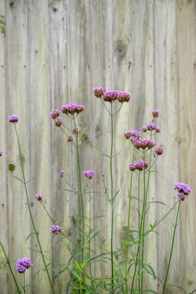 Additional image 15 of Station Road, Smallford, St. Albans, AL4 0HB