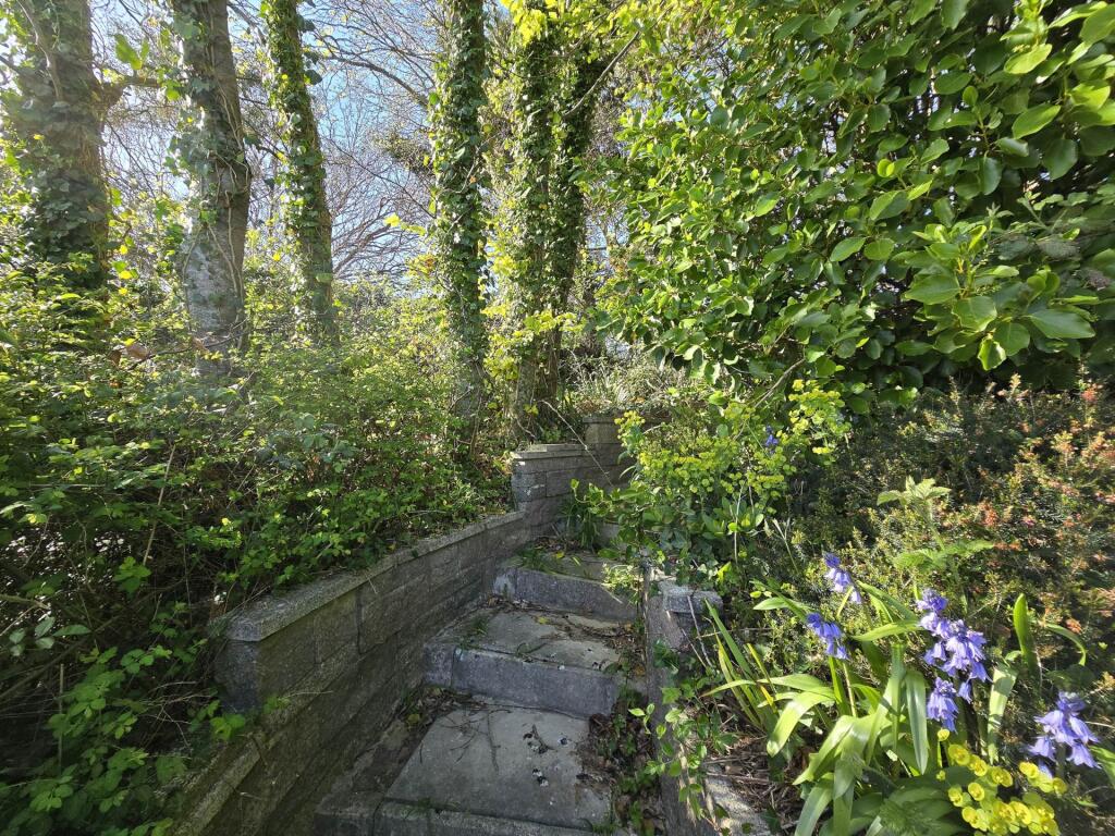 New Road, Instow photo 4