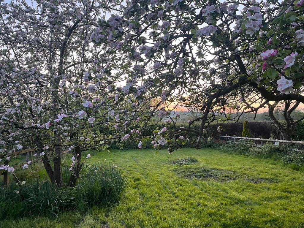 Additional image 22 of Redditch Road, Alvechurch, B48