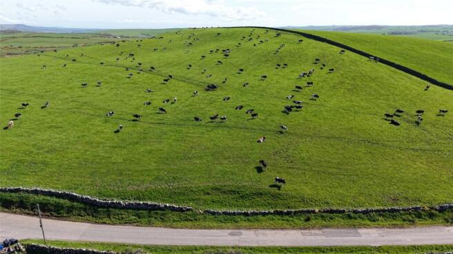 Pasture
