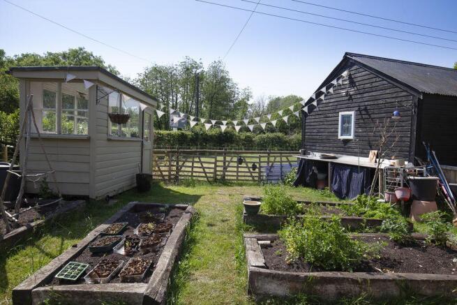 Vegetable Patch
