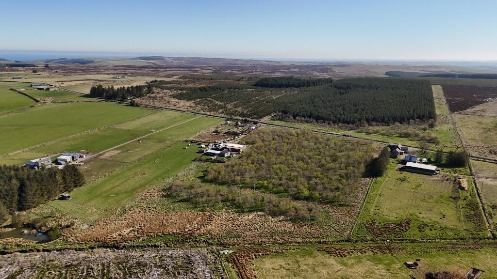 Woodland at Broadmuir, Hill of Fisherie, Turriff, AB53 5QL