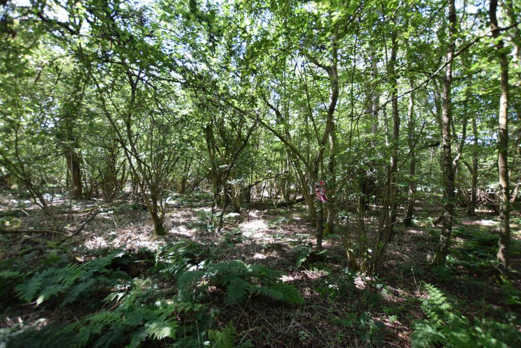 Main image of property: New Years Lane, Knockholt, TN14