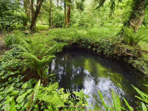 Woodland