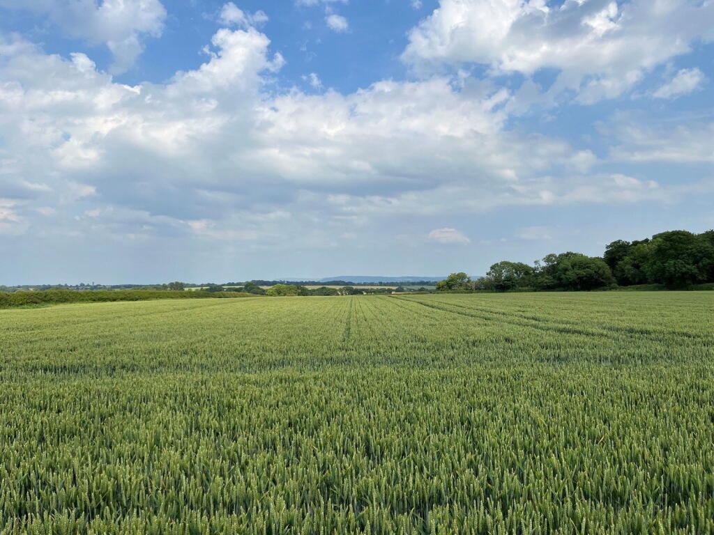 Main image of property: 26.79 Acres Approx Mounstrall Lane, Northallerton, DL7 0LZ