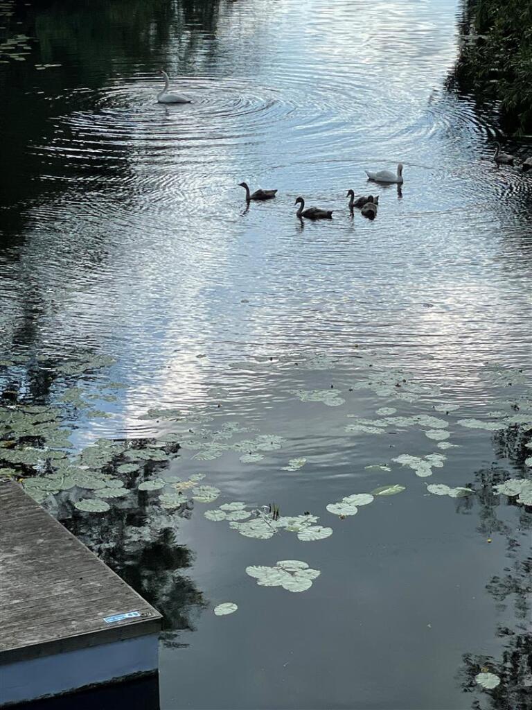 Mill Lane, Dedham photo 5