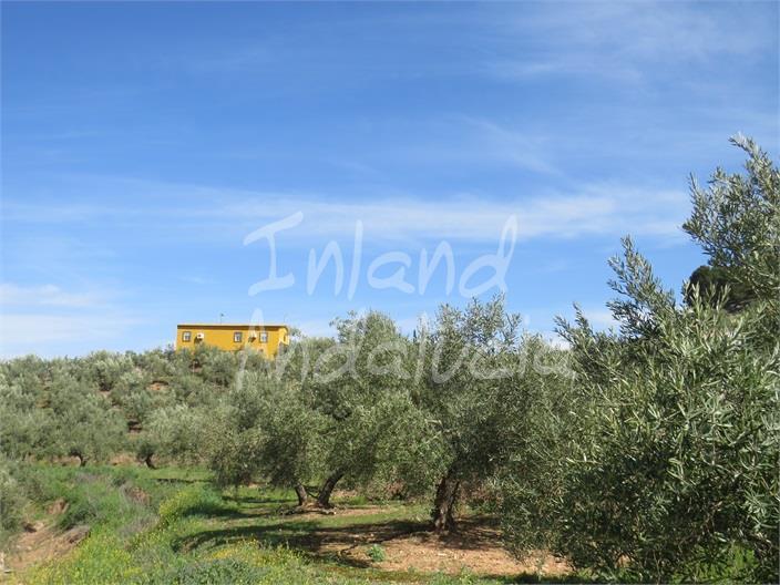 Main image of property: Andalucia, Jaén, Alcaudete