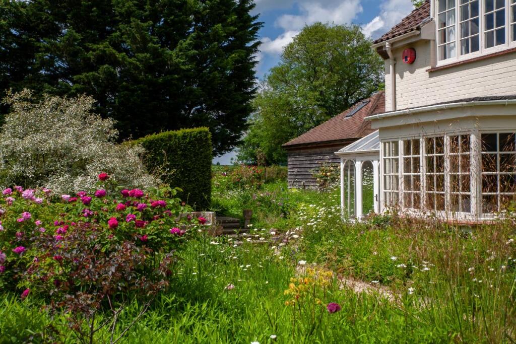 Additional image 14 of Corton