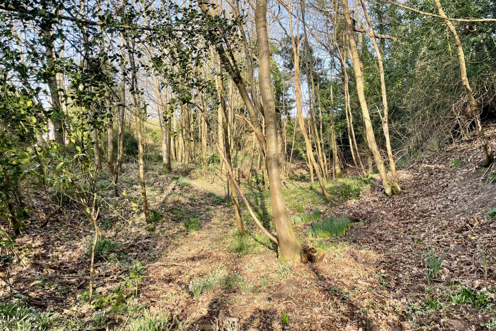 Main image of property: Woodland Plot Adjacent to Newlands, Plain Road, Smeeth, Kent