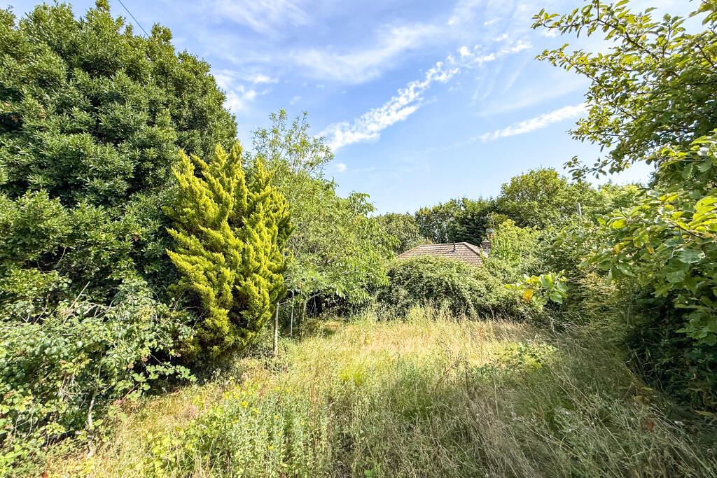 House in Wealden, Westham - More