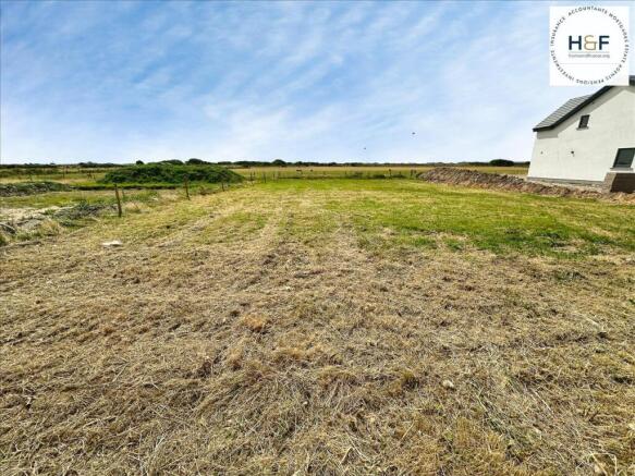 Views From The