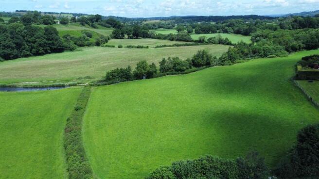 The Land