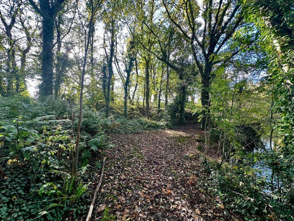 Small Lane, Mobberley, Knutsford - More
