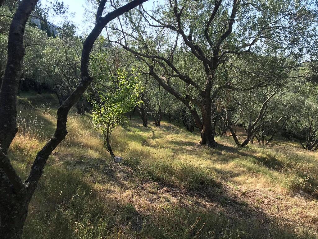 Main image of property: Ionian Islands, Corfu