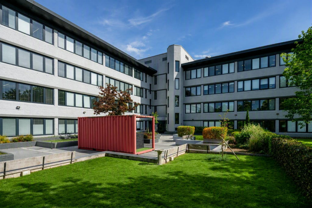 T bromley garden 2.png