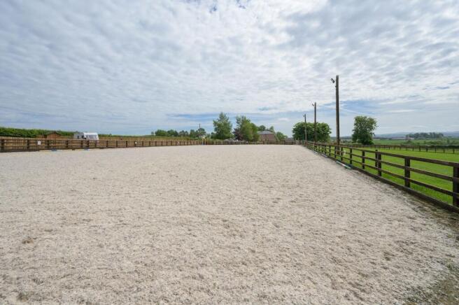 Equestrian
