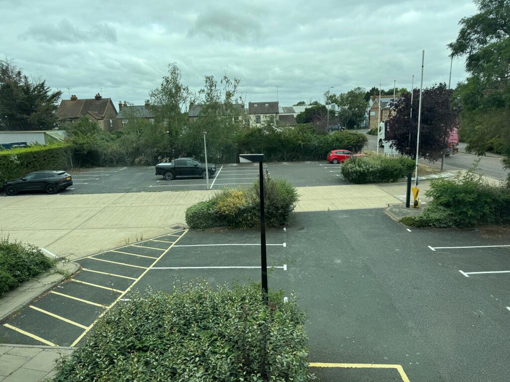 IMG_1041.jpeg
