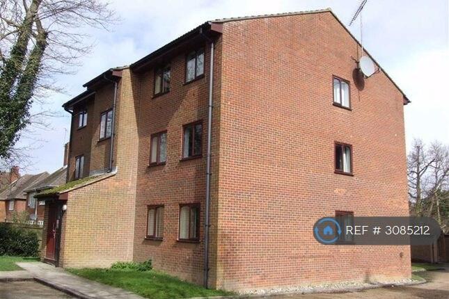 Property photo 6