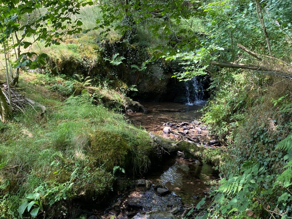 Crugybar, Llanwrda, SA19 photo 3