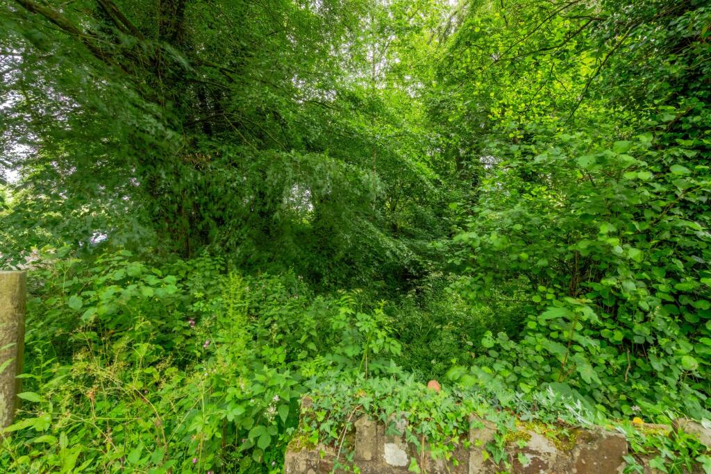 Coppice at Horwood - View 4