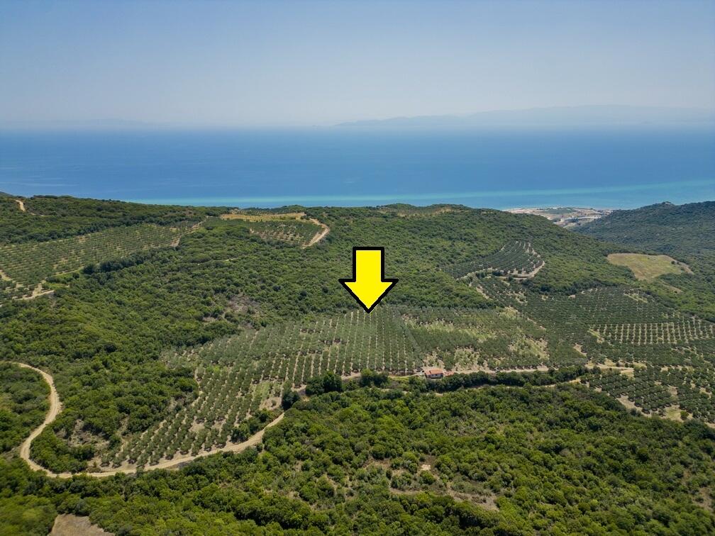 Main image of property: Eastern Macedonia and Thrace, Kavala, Kariani