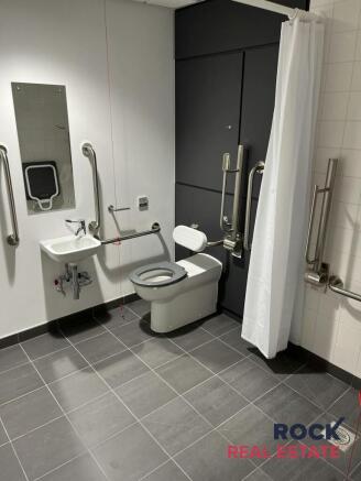 Toilet Lowry .jpg