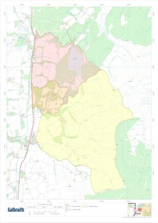 Lotting Map