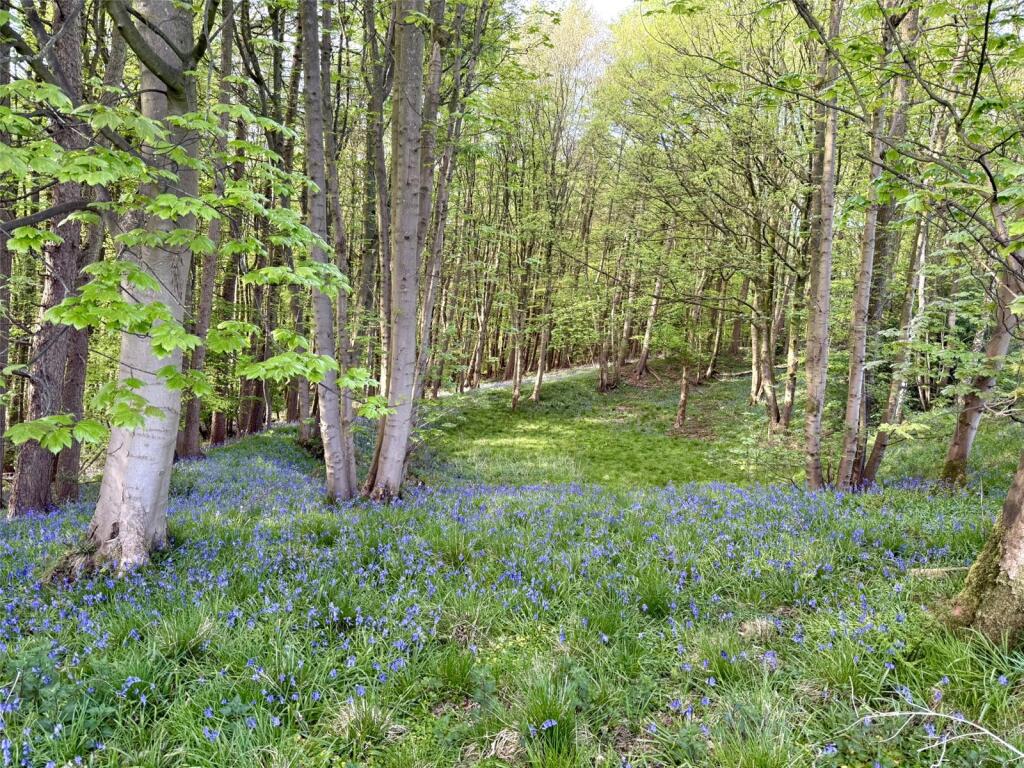 Additional image 7 of Land Off Hammond Drive, Read, Burnley, Lancashire