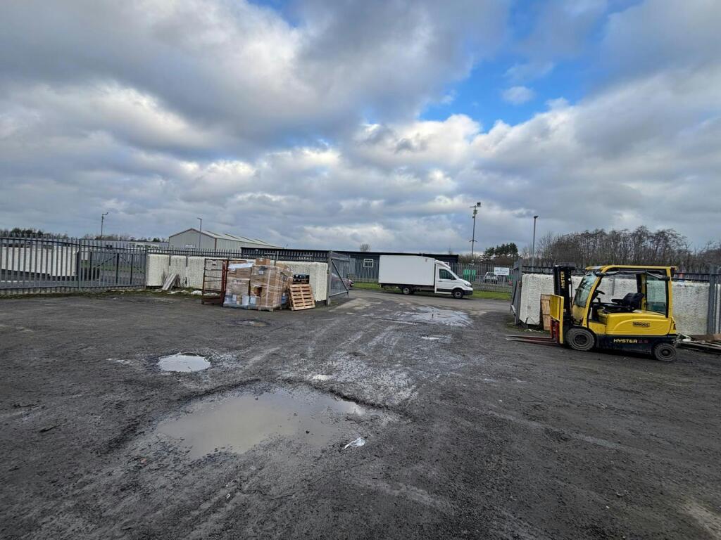 PHOTO-2026-02-15-15-46-22 2.jpg