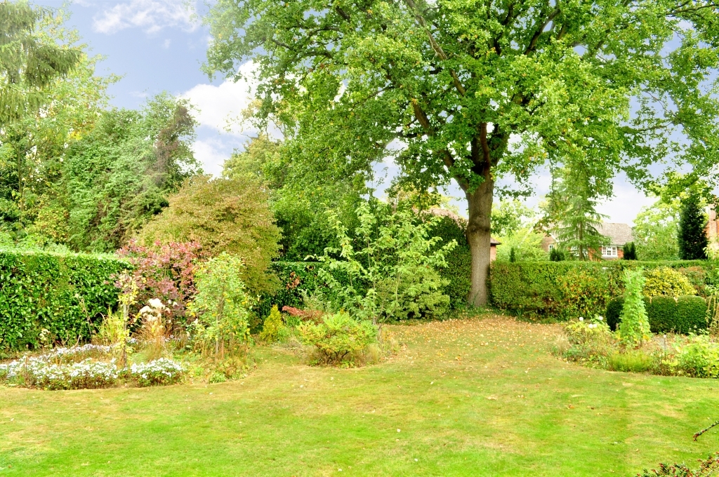 Photo of the property