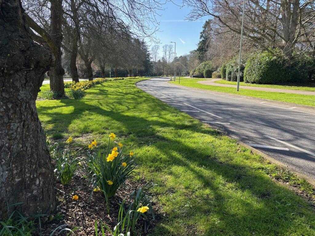 Additional image 7 of Lime Tree Court, London Colney, AL2