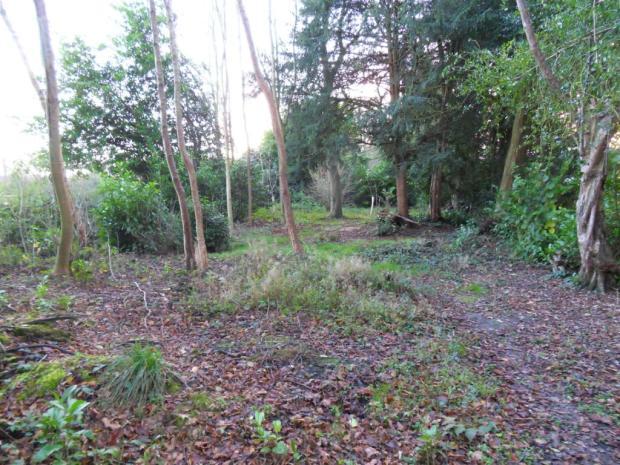 Photo of the property