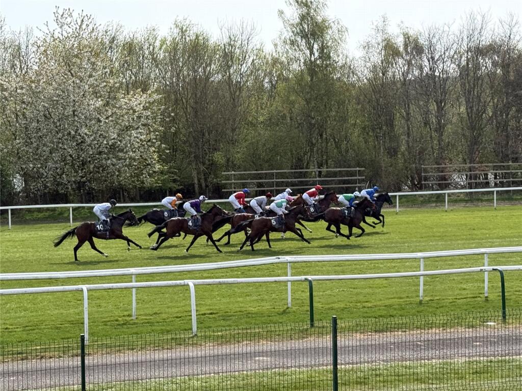 Primus End, Newbury Racecourse, Newbury, Berkshire, RG14 photo 4