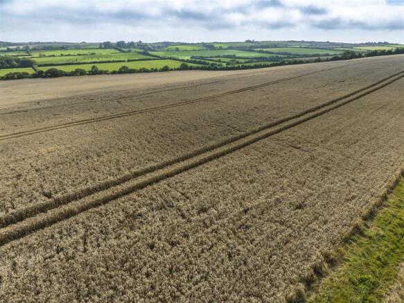 Corton Farm - Land