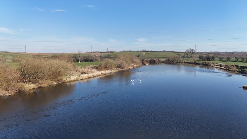 The Coops Beat, River Eden, Grinsdale, Cumbria, CA5 6DS - View 3