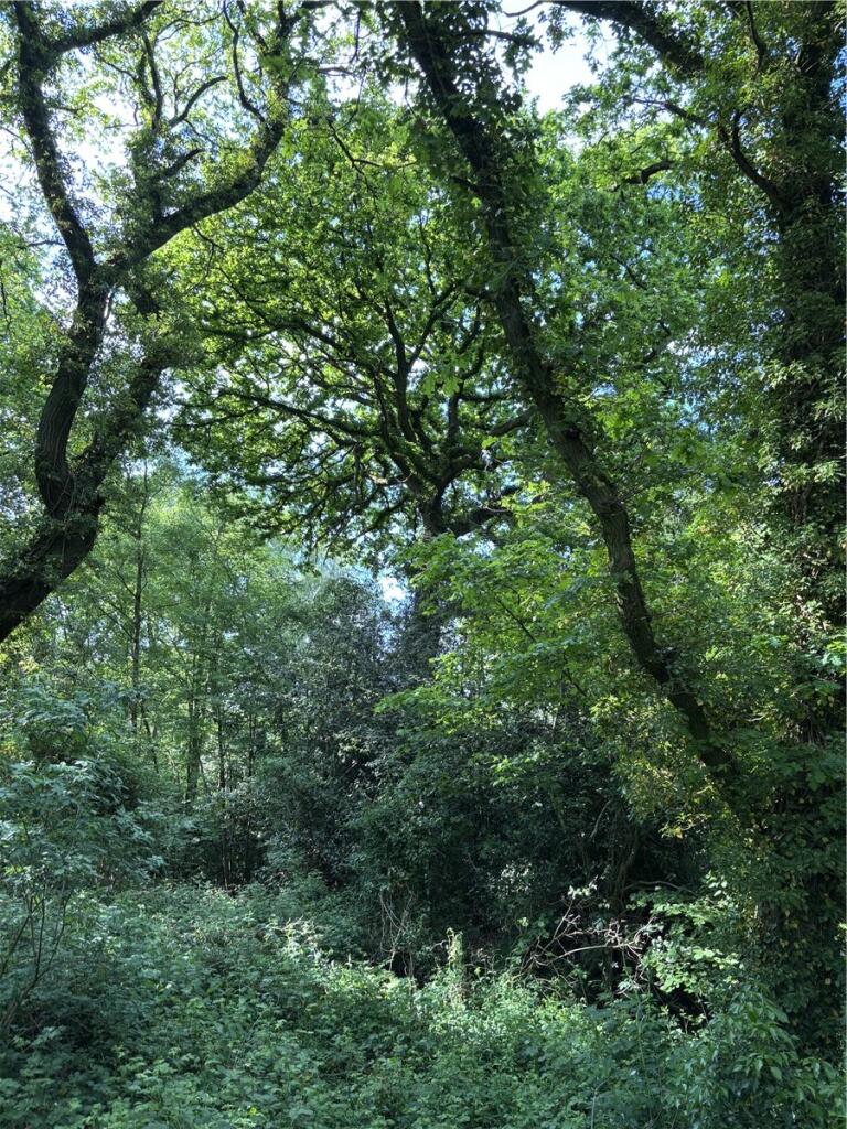 Main image of property: Outlying Portions of the Iscoyd Estate - Lot 4, Whitchurch, Wrexham, SY13