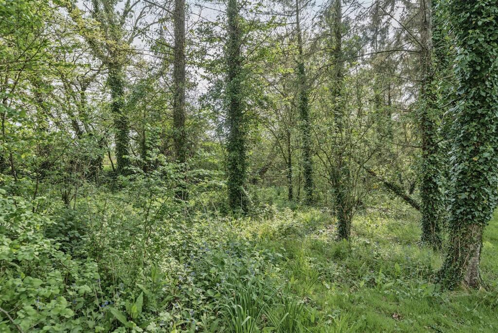 Additional image 27 of East Coker, Yeovil