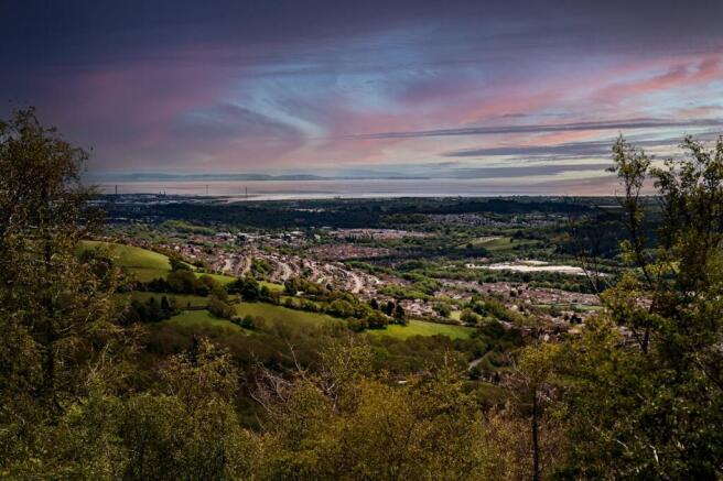 CwmcarnForestDrive1.jpg