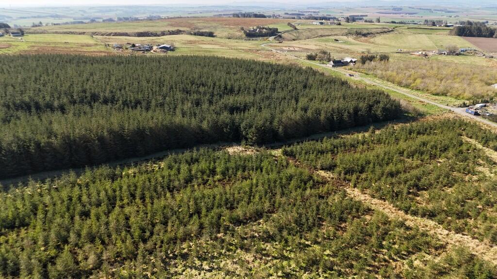 Additional image 12 of Lot 1 Woodland at Broadmuir, Hill of Fisherie, Turriff, AB53 5QL