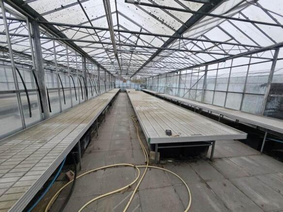 Marden Nurseries (5)
