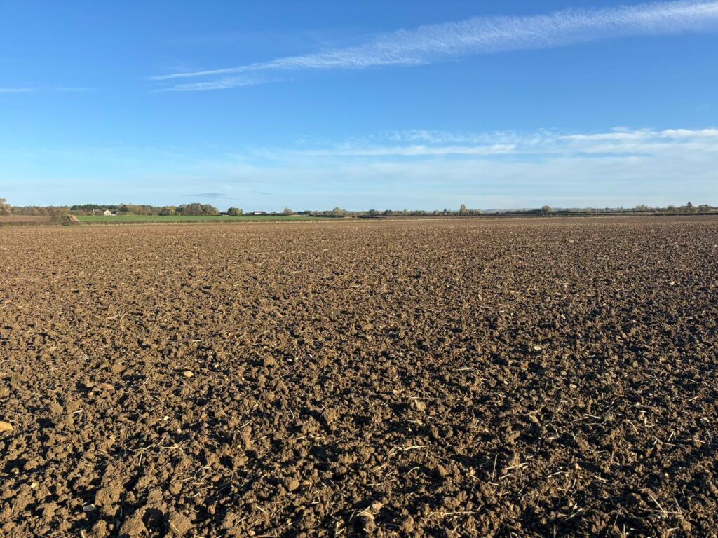 Main image of property: Lissingley Lane, Lissington, Lincoln, Lincolnshire, LN3