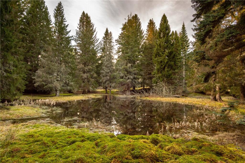 Additional image 4 of Land At Tom Meann, Bridge of Gairn, Ballater, Aberdeenshire, AB35