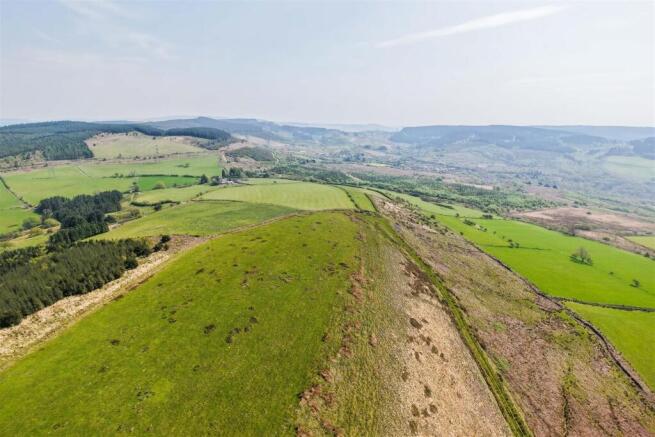 HVP-37.jpg