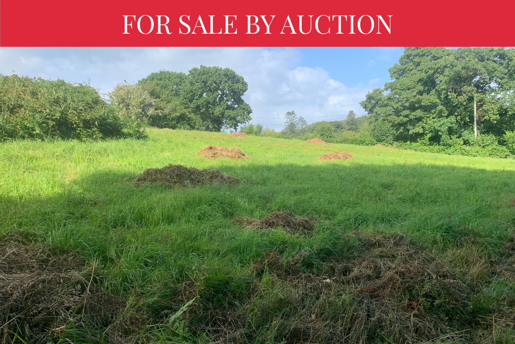 Main image of property: Land and Outbuildings, Bala Brook, South Brent, Devon