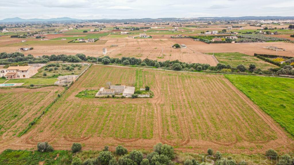 Main image of property: Balearic Islands, Mallorca, Sa Pobla