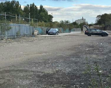 Harlow 5.jpeg