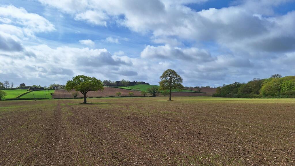 Lodge Road, Maldon photo 4