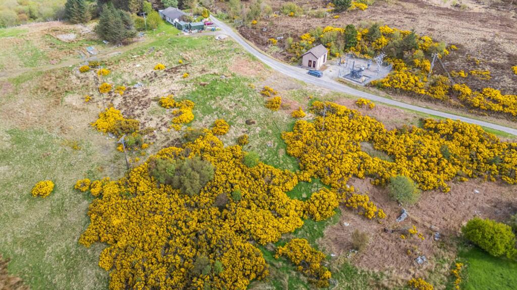 Plot of Land, Strathtongue, Tongue, Lairg, IV27 4XR - View 2