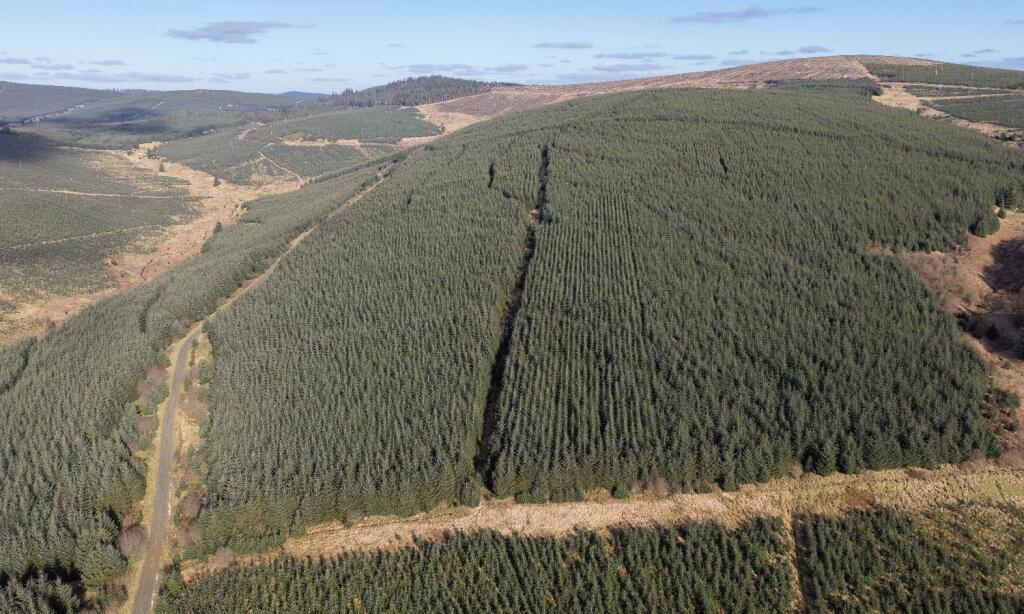 Main image of property: Douglenbrae, Langholm, Dumfries And Galloway